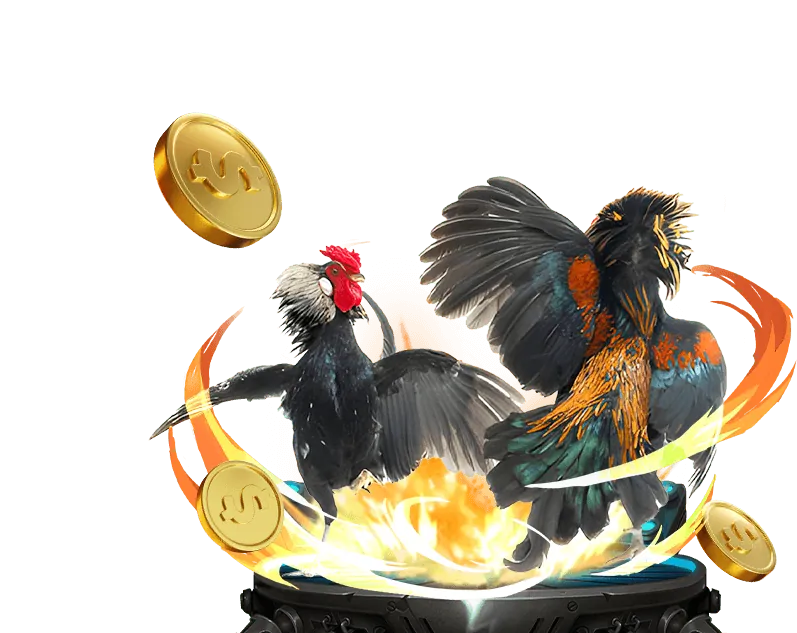 Banner khuyến mãi đá gà 566win vip